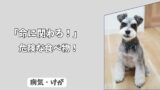 「命に関わる！」わんちゃんの中毒事故＜危険な食べ物＞最速排出の判断基準と、自宅処置NG集！