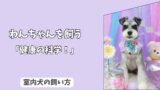 「健康科学」室内犬の健康を守る＜換気・空気質＞の科学！　アレルギーとハウスダスト対策！