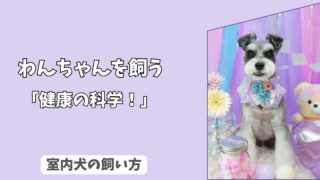 「健康科学」室内犬の健康を守る＜換気・空気質＞の科学！　アレルギーとハウスダスト対策！