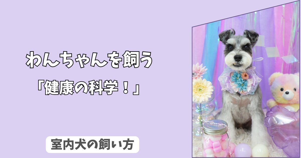 「健康科学」室内犬の健康を守る＜換気・空気質＞の科学！　アレルギーとハウスダスト対策！