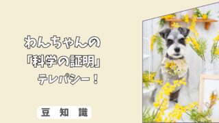 「科学で証明」飼い主との間に「テレパシー」は存在する？　アイコンタクトの驚くべき効果！