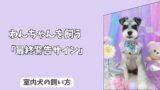 「わんちゃんの気持ち」唸る・噛むは悪じゃない！　愛犬が限界を迎える前の＜最終警告サイン＞とは？