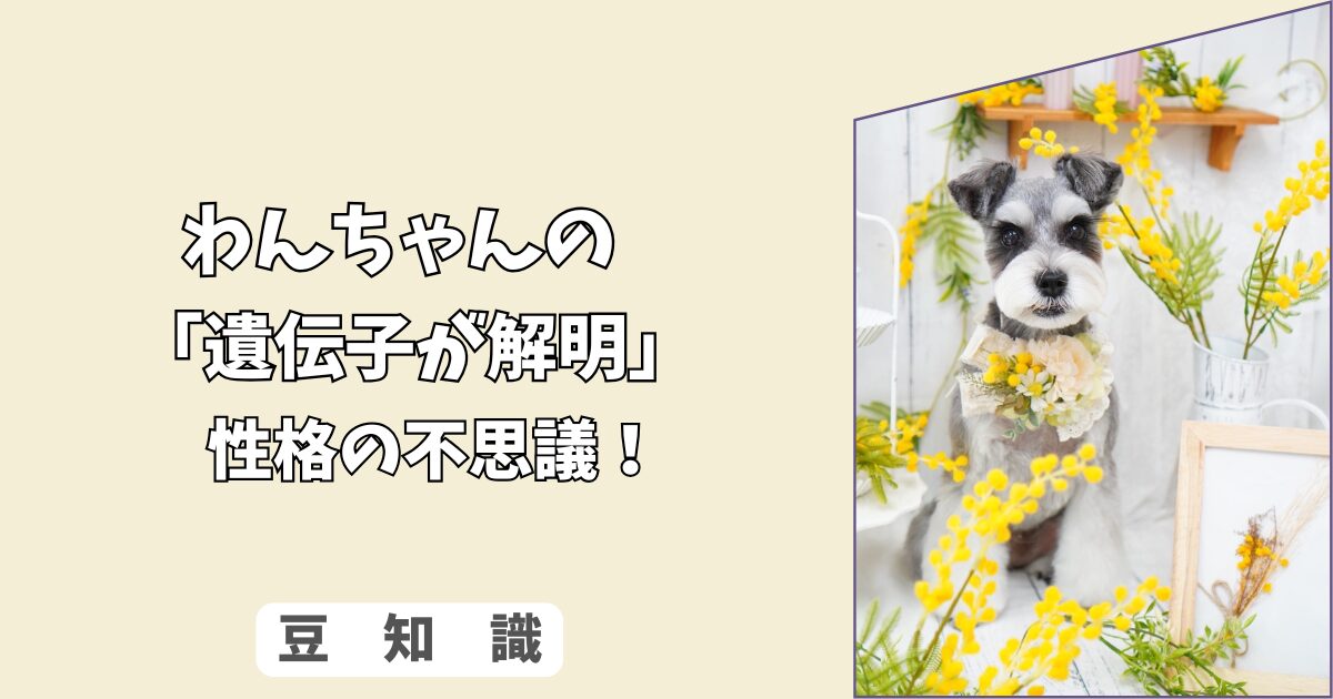 「遺伝子が解明」わんちゃんの＜人懐っこさ＞は生まれつき？　遺伝子と環境が作る、性格の不思議！