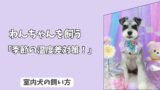 「季節の温度差対策」室内犬の＜コタツ・暖房＞依存を防ぐ！　寒暖差ショックから守る、部屋づくり！