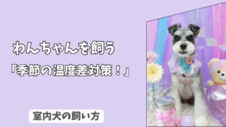「季節の温度差対策」室内犬の＜コタツ・暖房＞依存を防ぐ！　寒暖差ショックから守る、部屋づくり！
