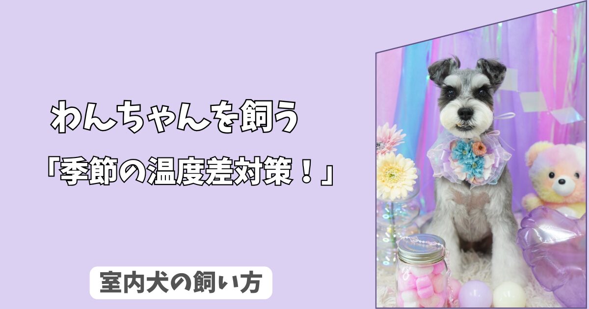 「季節の温度差対策」室内犬の＜コタツ・暖房＞依存を防ぐ！　寒暖差ショックから守る、部屋づくり！