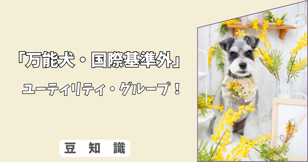 「犬のユーティリティ・グループとは？」日本犬・コンパニオン犬の特徴と魅力！ 9/10