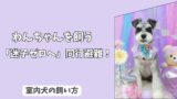 「迷子ゼロへ」災害発生！愛犬と、はぐれないための＜同行避難＞シミュレーションと準備！