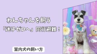 「迷子ゼロへ」災害発生！愛犬と、はぐれないための＜同行避難＞シミュレーションと準備！