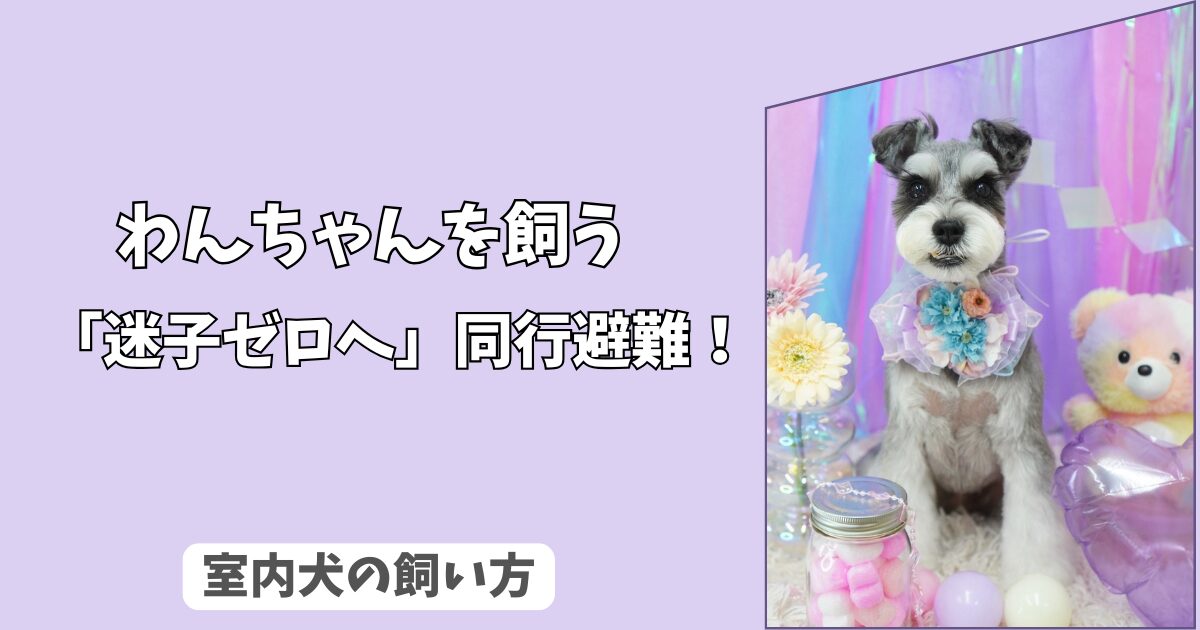 「迷子ゼロへ」災害発生！愛犬と、はぐれないための＜同行避難＞シミュレーションと準備！