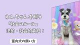 「社会のルール」室内犬を飼う上での＜法的・社会的責任＞とトラブル予防策！