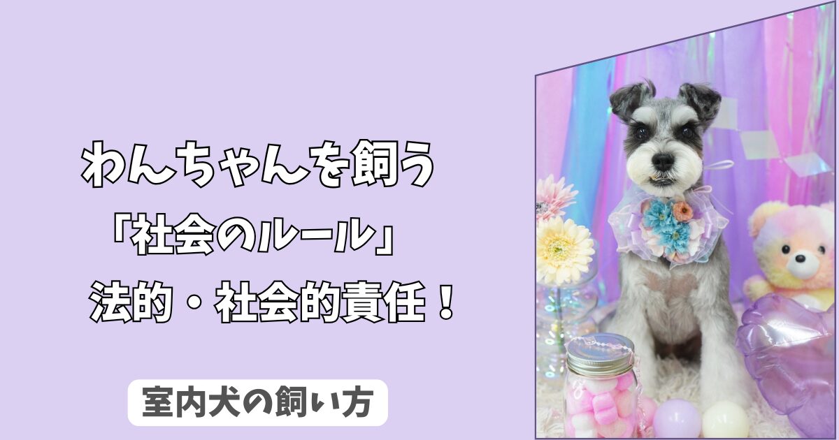 「社会のルール」室内犬を飼う上での＜法的・社会的責任＞とトラブル予防策！