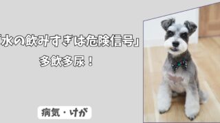 「水の飲みすぎは危険信号」わんちゃんの＜多飲多尿＞から疑うべき、ホルモン系と腎臓の病気！