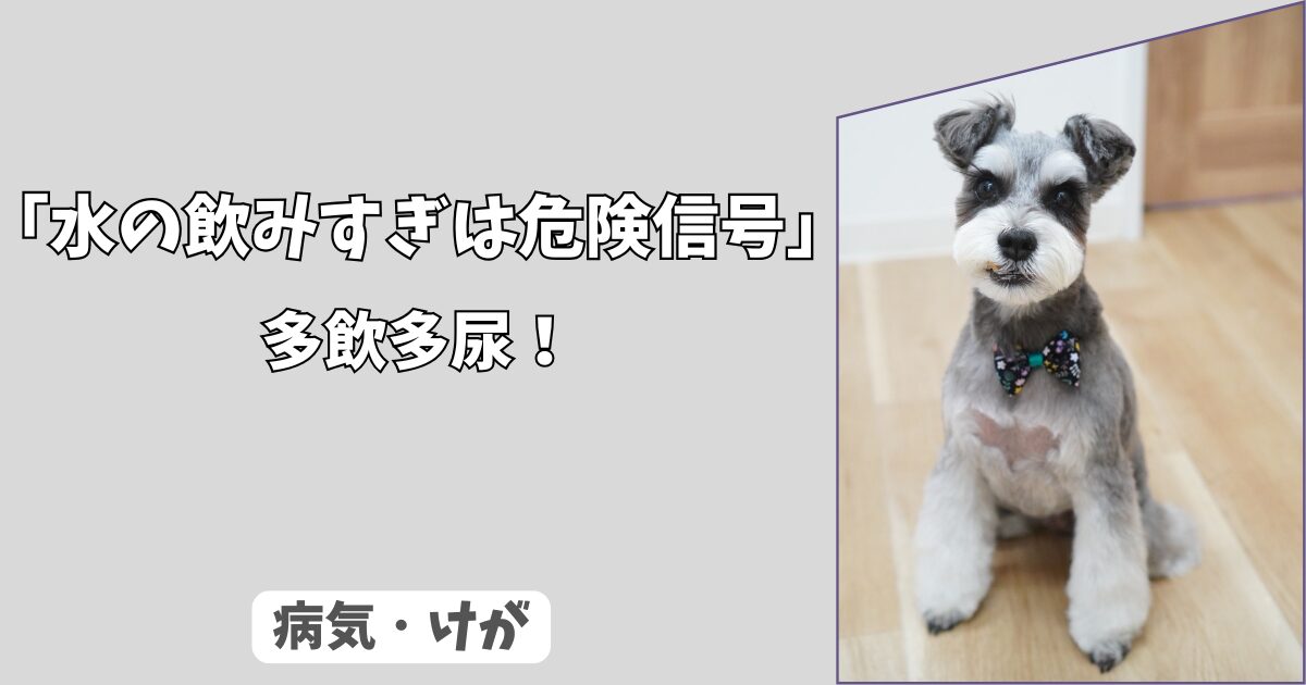 「水の飲みすぎは危険信号」わんちゃんの＜多飲多尿＞から疑うべき、ホルモン系と腎臓の病気！