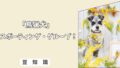 「犬の鳥猟犬グループとは?」レトリーバー〜スパニエルの特徴と回収本能を活かす方法!6/10 「犬の鳥猟犬グループとは?」レトリーバー〜スパニエルの特徴と回収本能を活かす方法!6/10