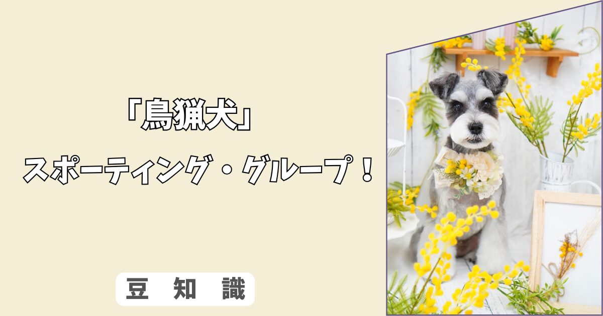 「犬の鳥猟犬グループとは？」レトリーバー〜スパニエルの特徴と回収本能を活かす方法！6/10
