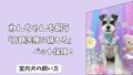 「高額医療に備える」わんちゃんの＜ペット保険＞は本当に必要？　後悔しないための選び方と注意点！