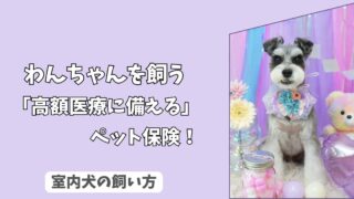 「高額医療に備える」わんちゃんの＜ペット保険＞は本当に必要？　後悔しないための選び方と注意点！