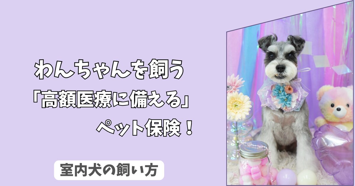 「高額医療に備える」わんちゃんの＜ペット保険＞は本当に必要？　後悔しないための選び方と注意点！
