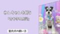 「命を守る防災」室内犬のための<防災グッズ>決定版! 必須アイテム10選と、備蓄ローテーション術! 「命を守る防災」室内犬のための<防災グッズ>決定版! 必須アイテム10選と、備蓄ローテーション術!