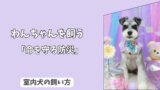「命を守る防災」室内犬のための＜防災グッズ＞決定版！　必須アイテム10選と、備蓄ローテーション術！