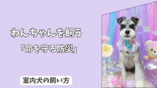 「命を守る防災」室内犬のための＜防災グッズ＞決定版！　必須アイテム10選と、備蓄ローテーション術！