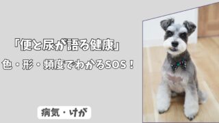 「色・形・頻度でわかる愛犬のSOS」下痢・血尿の見極めと、受診の目安！