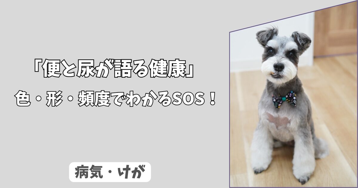 「色・形・頻度でわかる愛犬のSOS」下痢・血尿の見極めと、受診の目安！