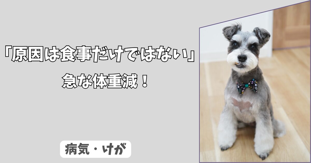 「原因は食事だけではない」急激な体重減少から疑うべき＜隠れたがん＞と消化器系の病気！