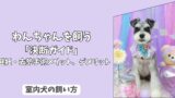 「決断ガイド」わんちゃんの＜避妊・去勢手術＞のメリット・デメリット総まとめと最適な時期！