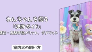 「決断ガイド」わんちゃんの＜避妊・去勢手術＞のメリット・デメリット総まとめと最適な時期！