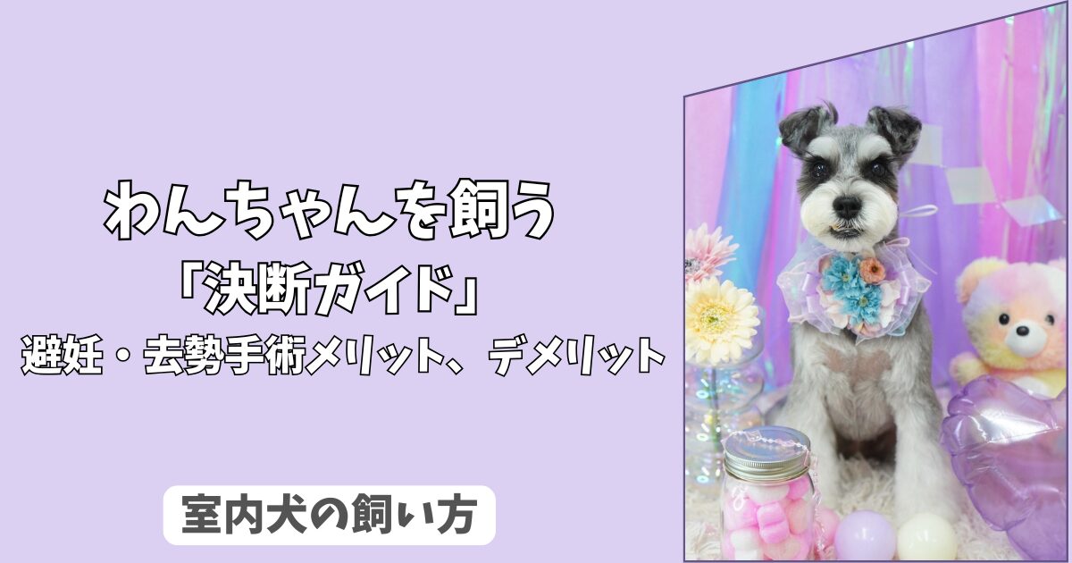 「決断ガイド」わんちゃんの＜避妊・去勢手術＞のメリット・デメリット総まとめと最適な時期！