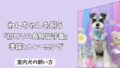 「初めての長期留守番」室内犬を＜一人で安心＞させるための準備とトレーニング法！