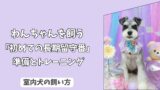 「初めての長期留守番」室内犬を＜一人で安心＞させるための準備とトレーニング法！