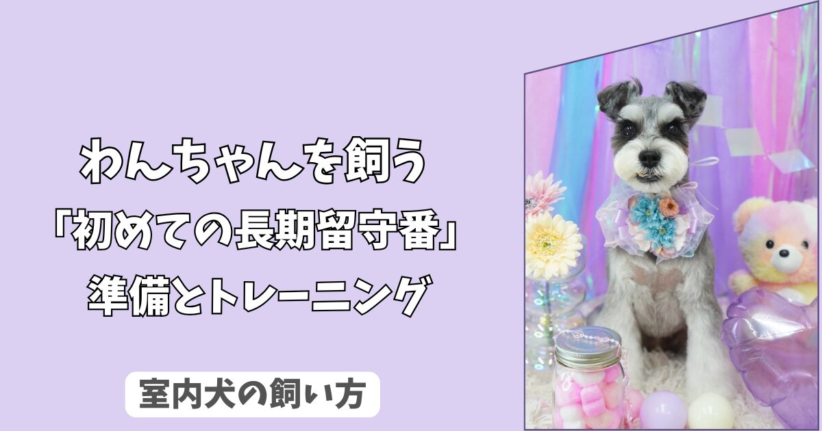 「初めての長期留守番」室内犬を＜一人で安心＞させるための準備とトレーニング法！