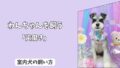 「初心者必見」今日からできる！　室内犬の＜歯みがき＞成功ガイド：　嫌がらないための慣らし方と手順！