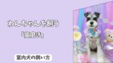 「初心者必見」今日からできる！　室内犬の＜歯みがき＞成功ガイド：　嫌がらないための慣らし方と手順！