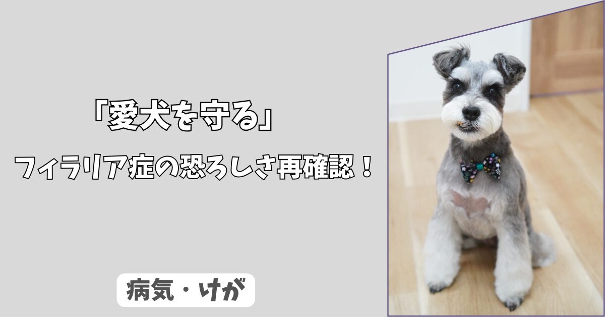 「犬のフィラリア予防はなぜ必要？」症状の恐ろしさと予防薬の選び方