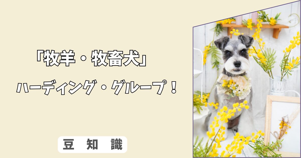 「犬の牧羊犬（牧畜犬）とは？」知能・本能・飼い方のポイント！ 3/10