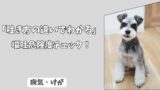 「吐き方の違いでわかる」わんちゃんの＜嘔吐＞の危険度チェック：胃液か、胆汁か、泡状か！