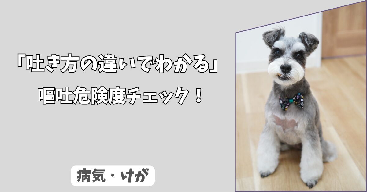 「吐き方の違いでわかる」わんちゃんの＜嘔吐＞の危険度チェック：胃液か、胆汁か、泡状か！