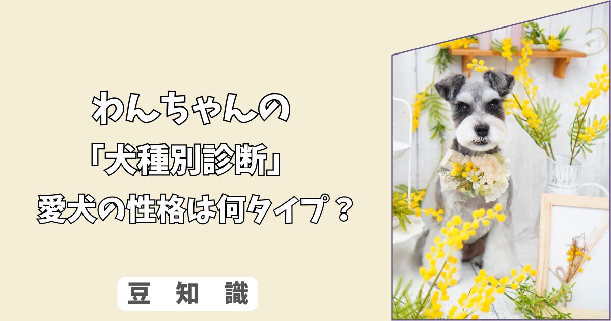 「犬種別診断」あなたの愛犬は何タイプ？＜性格＞の傾向から見る、しつけと接し方のヒント！