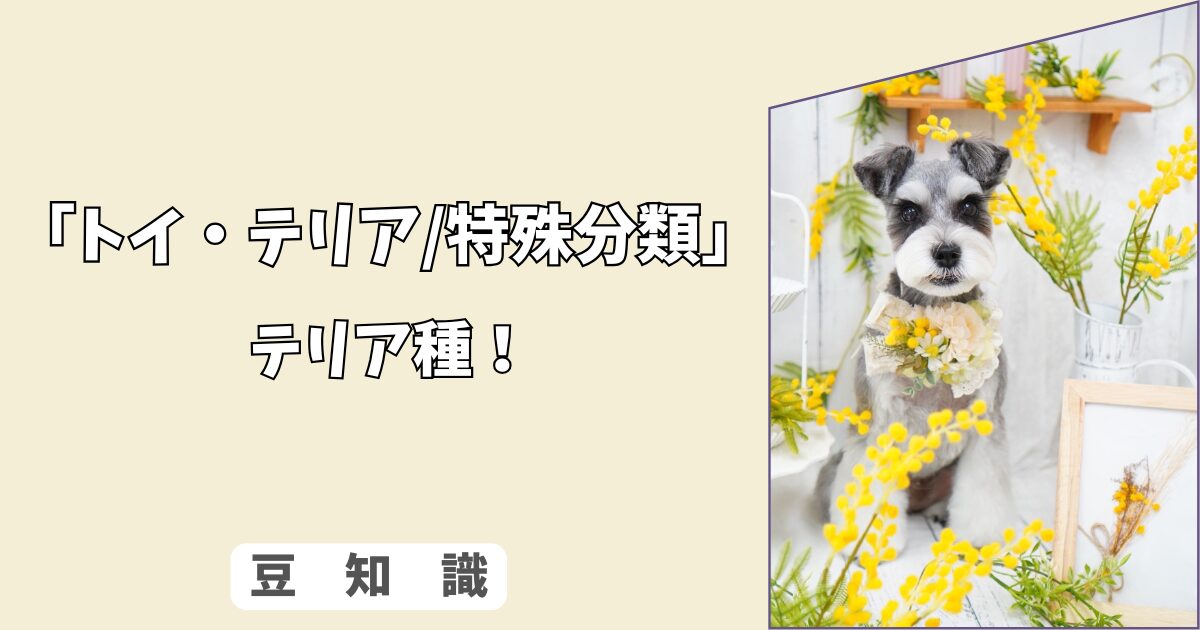 「犬のテリア種とは？」トイテリアなど小型犬の特徴と犬種グループまとめ！ 10/10