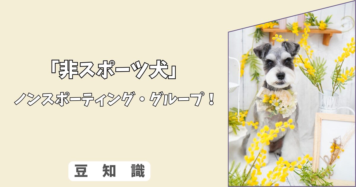 「犬の非スポーツ犬グループとは？」柴犬〜ダルメシアンの特徴と飼い方ガイド！ 8/10