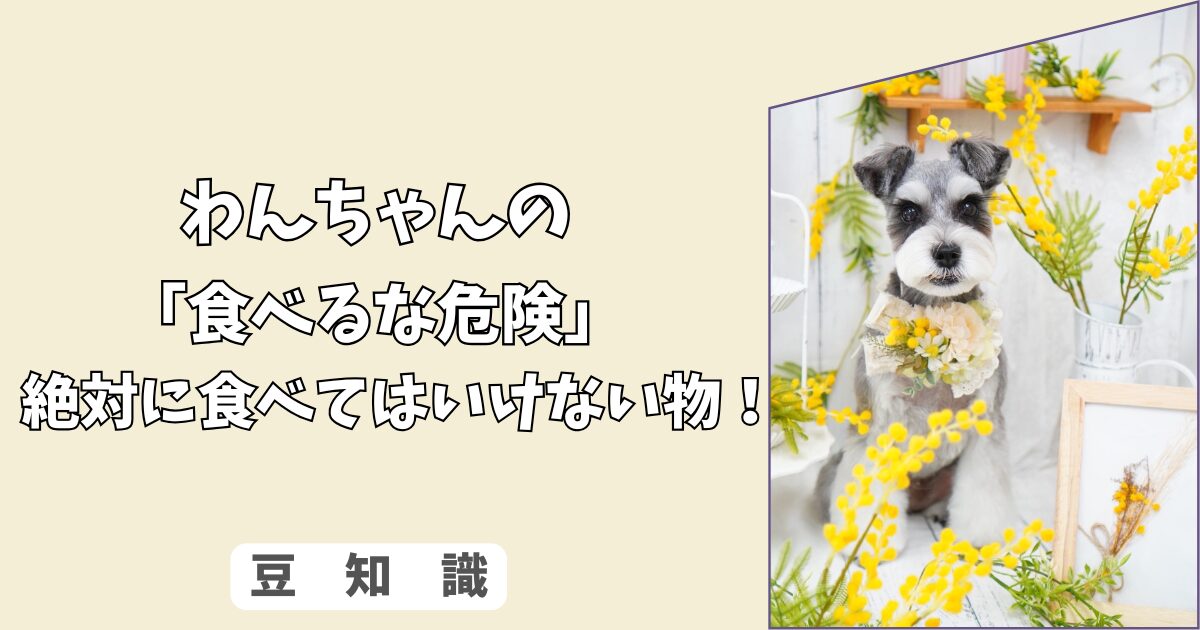 「食べるな危険」人間には良くても、わんちゃんには毒！　わんちゃんが絶対に、食べてはいけない＜危険な食べ物＞リスト！