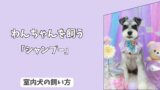 「はじめの一歩」室内犬の＜シャンプー＞を怖がらせない！　手順と準備、ドライヤーの慣らし方ガイド！
