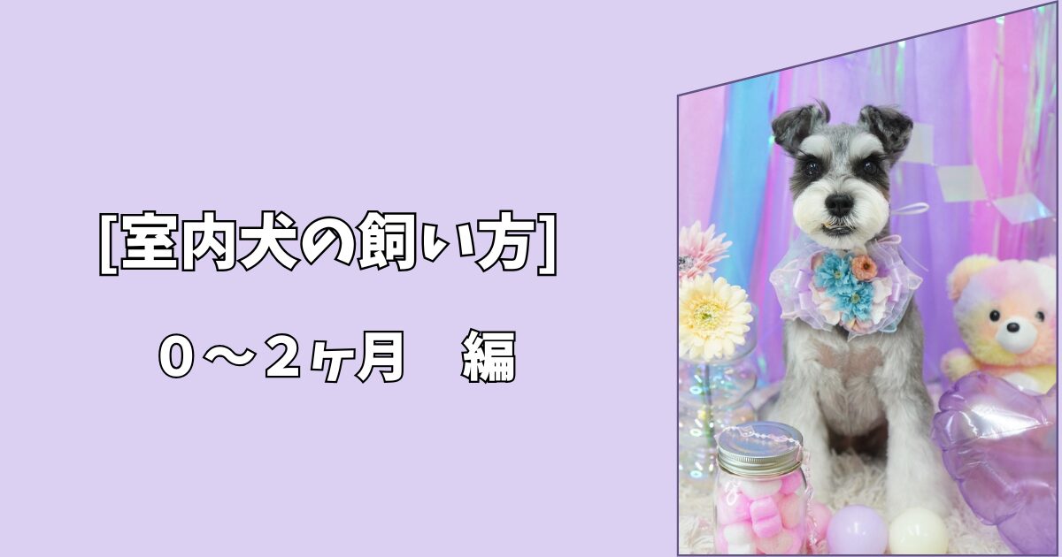 【室内犬の飼い方】迎える前に知っておきたい準備と心構え｜0〜2か月編