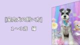 【室内犬の飼い方】成犬期の安定した暮らし方｜1〜3歳編