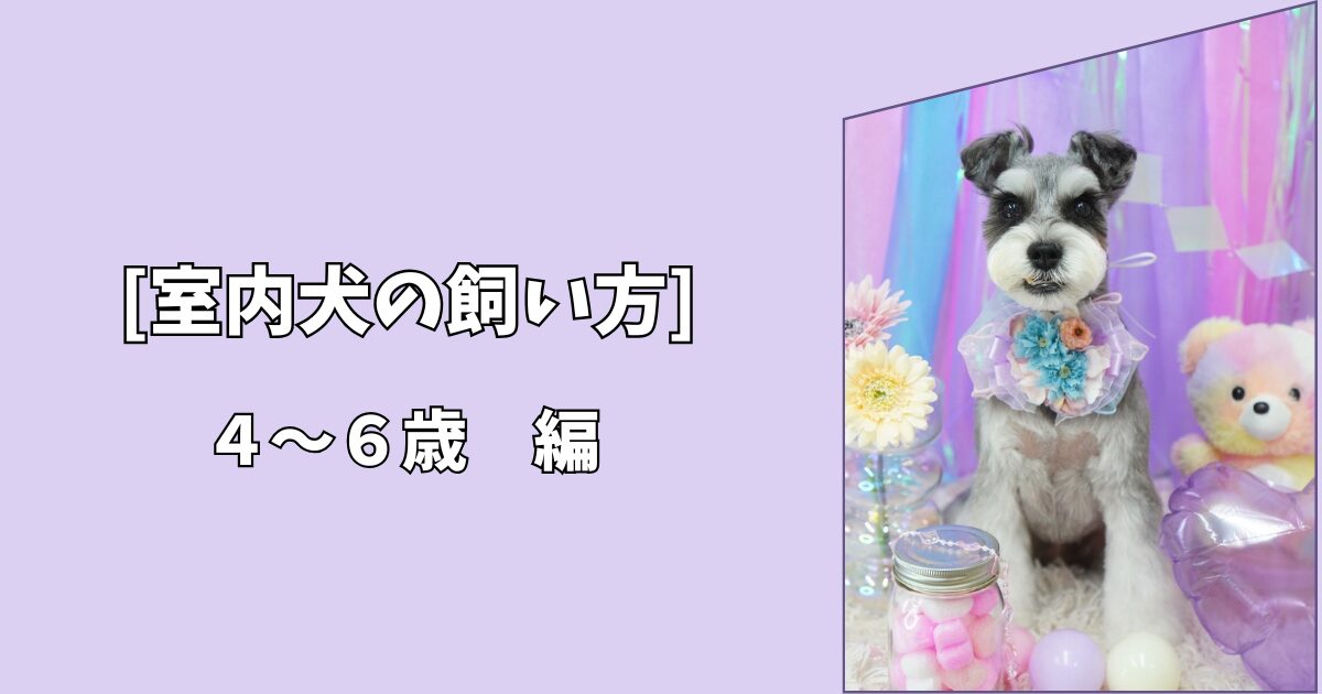 【室内犬の飼い方】中年期に入る前の体と心のケア｜4〜6歳編