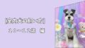 【室内犬の飼い方】シニア期を快適に過ごすための工夫｜10〜12歳編